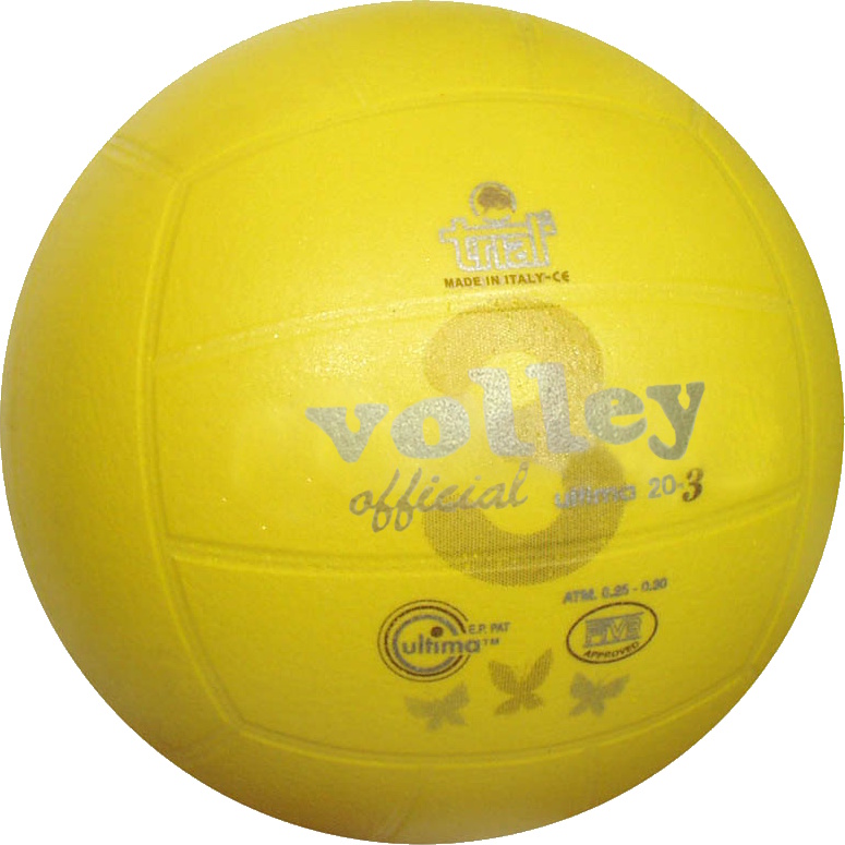 Gelber Volleyball mit Aufschrift für Sportaktivitäten